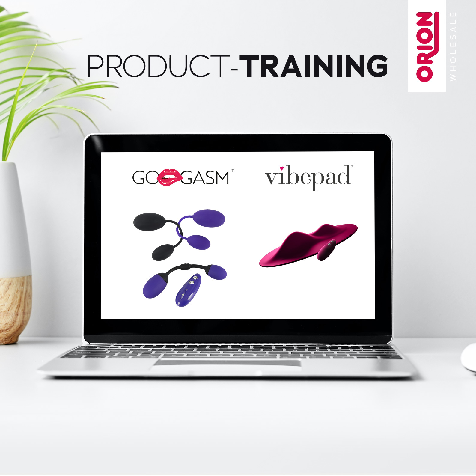 Product Training Event via Webinar