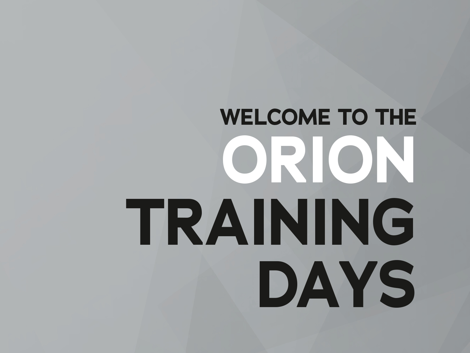 BUSINESS meets PLEASURE: Training Days at ORION Wholesale  