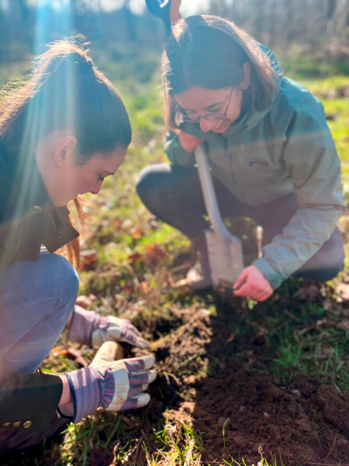 Rooted in Schleswig-Holstein: Why we planted trees for our region for the second time