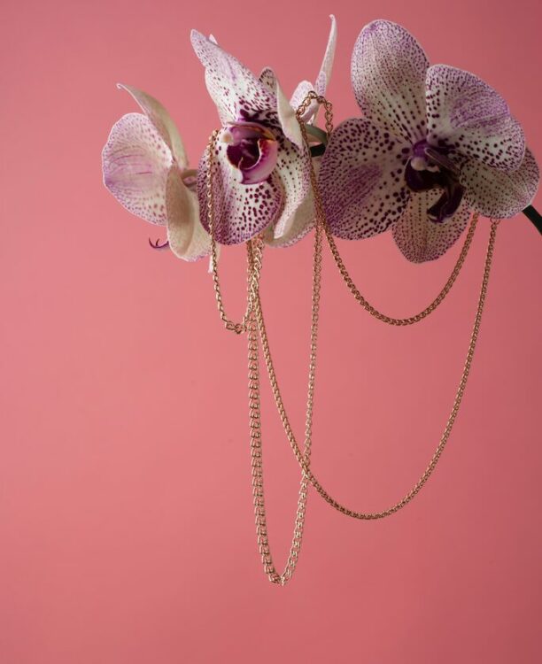 A golden gem or a chain reaction? These party pieces from Cottelli ACCESSOIRES are the perfect sparkly items for your autumn